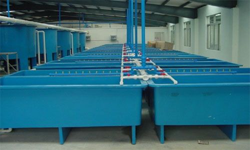 養(yǎng)殖槽 養(yǎng)殖槽