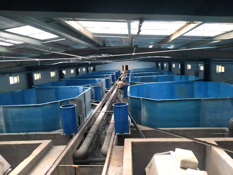 玻璃鋼魚槽 玻璃鋼魚槽