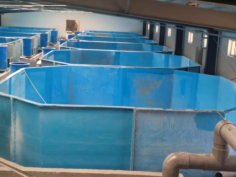 玻璃鋼魚槽 玻璃鋼魚槽